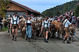 Bernhard Saalfeld - September